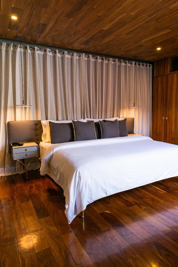 Dos Casas Hotel & Spa サン・ミゲル・デ・アジェンデ エクステリア 写真